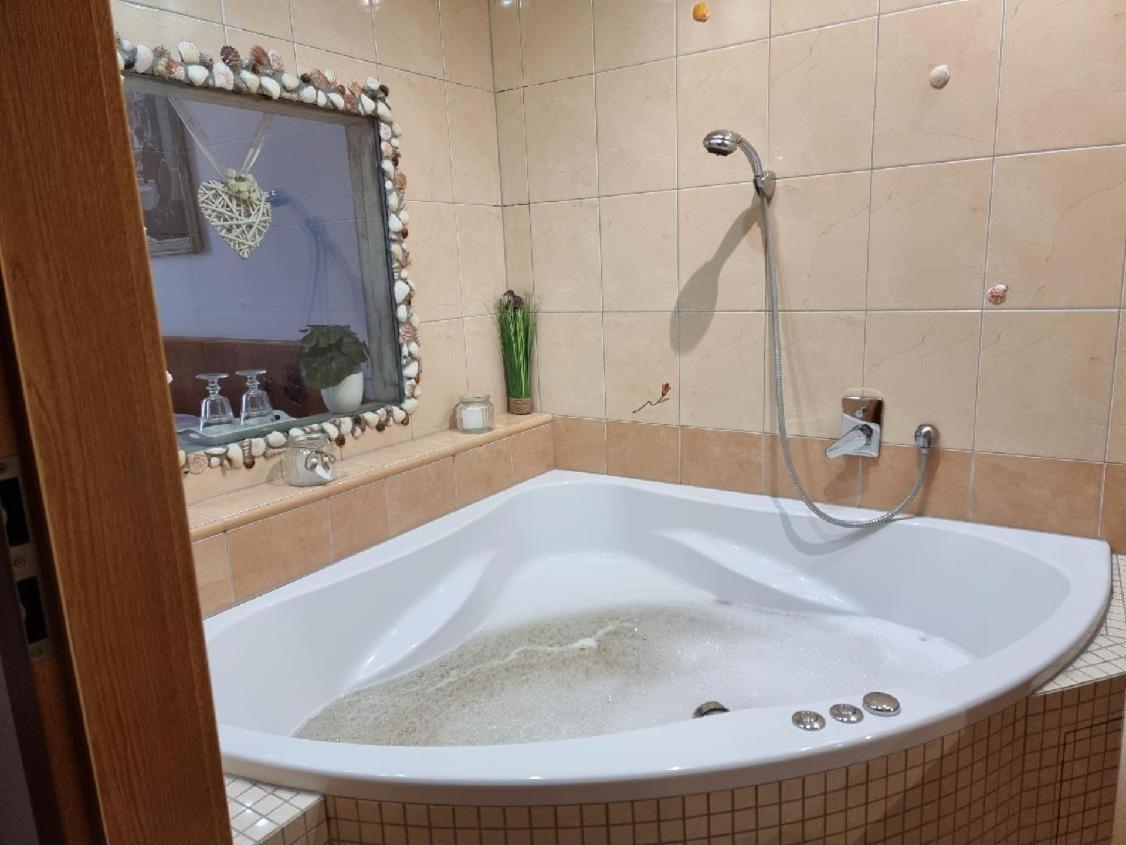 Hotel Pansky Dum Blovice Екстер'єр фото